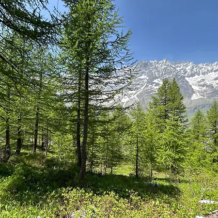 Apartament Cervinia Snow Dream Breuil-Cervinia