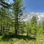 公寓 Cervinia Snow Dream 布勒伊-切尔维尼亚