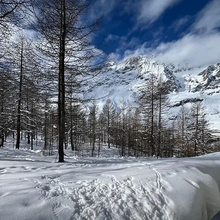 Cervinia Snow Dream Apartment *