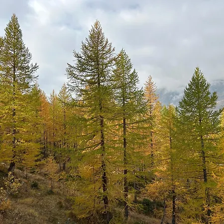 Cervinia Snow Dream Breuil-Cervinia